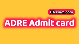 Read more about the article Assam Direct Recruitment Admit Card 2025 – ADRE Skill Test and Interview Details