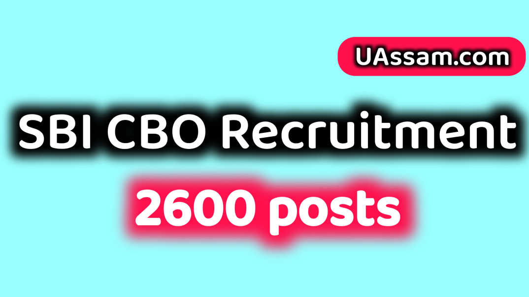 Read more about the article SBI CBO Recruitment 2025 – Apply Online for 2600 Circle Based Officer Posts